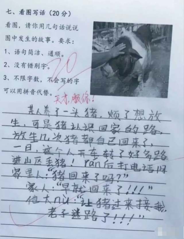 小学生奇葩作文火了 看完承包了一年的笑点 网友 笑出猪叫 小学生 作文 我的理想