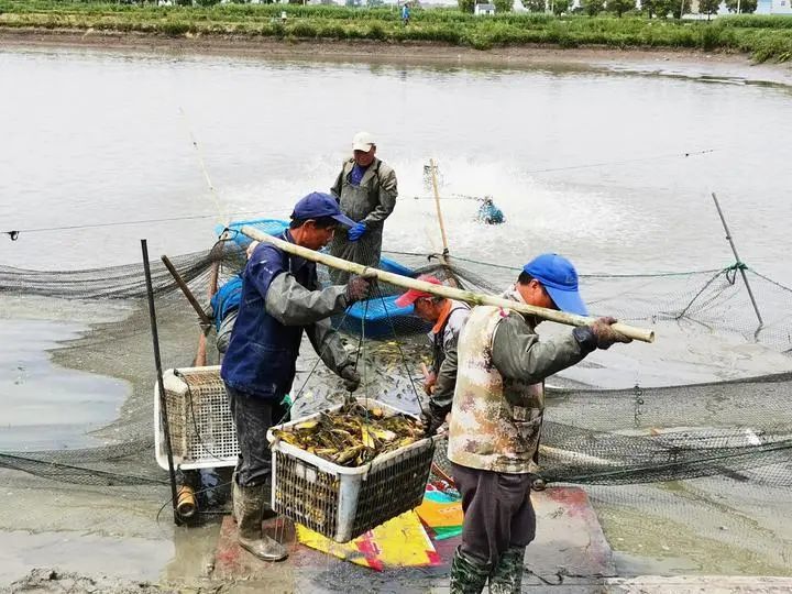 菱湖gdp_建议青菱湖上建桥,连接东西两岸,为加速云帆街(2)