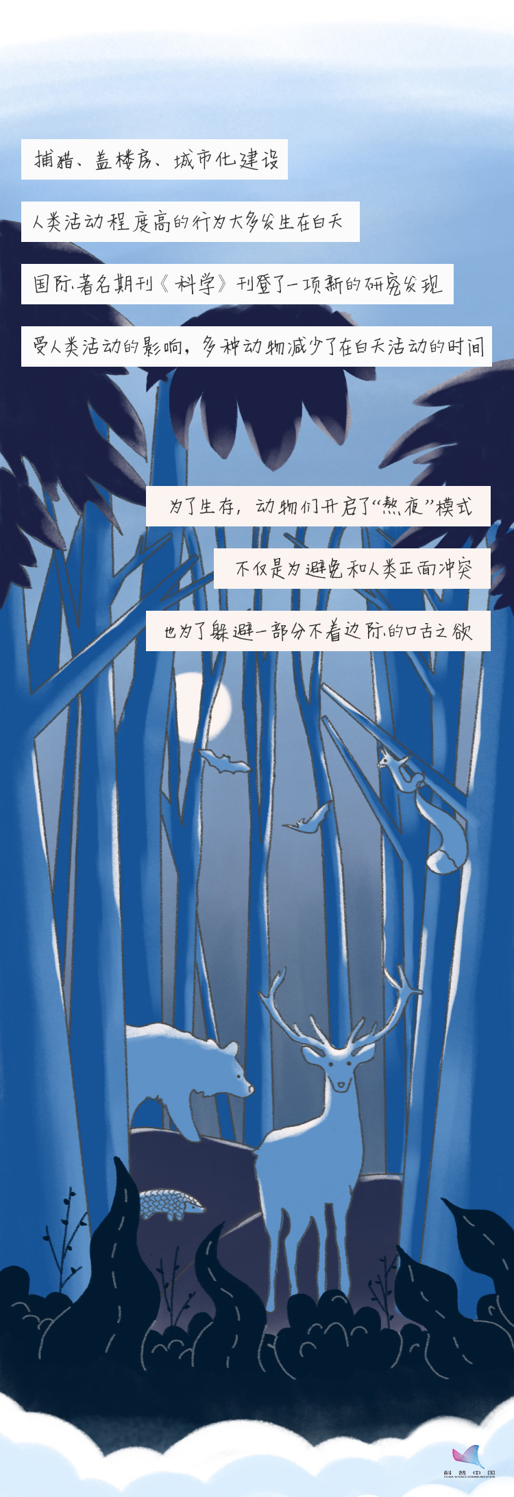 十三届全国人大常委会|来看看野生动物们的生存图鉴！让我们对捕食野味say no