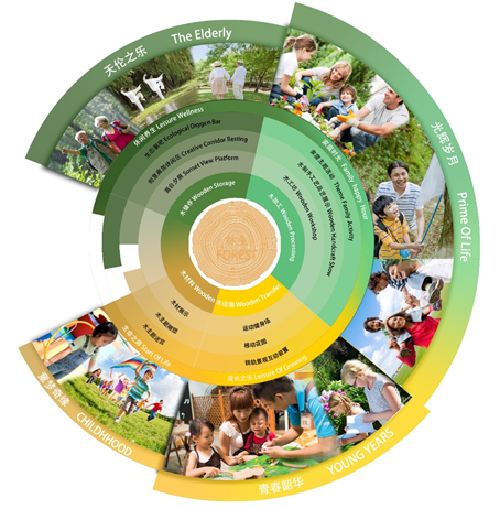 以木为载 时空轮转 记忆永存 腾讯新闻