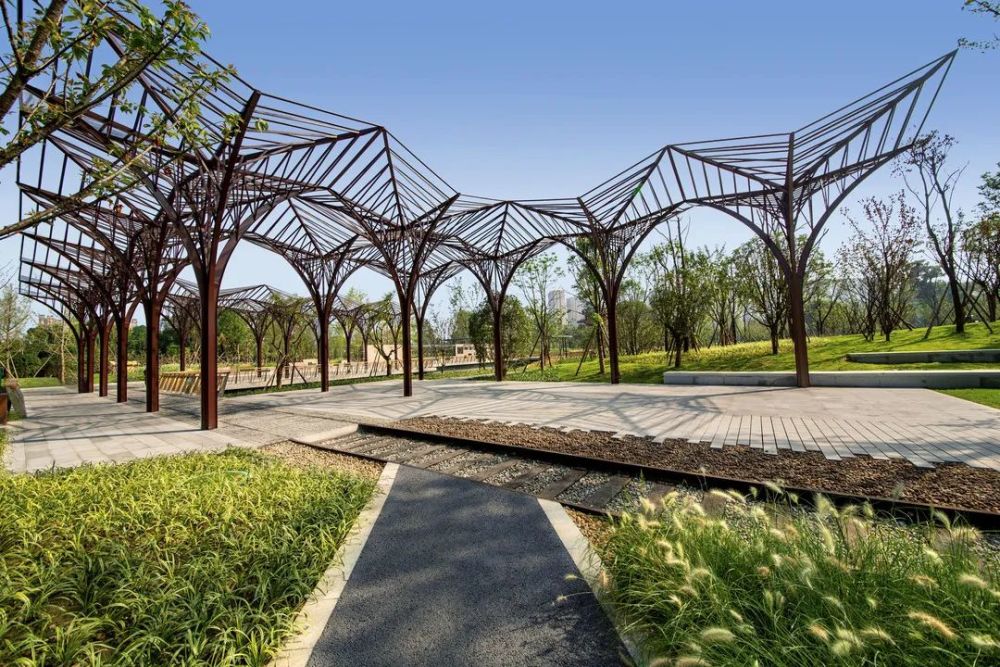 以木为载 时空轮转 记忆永存 腾讯新闻