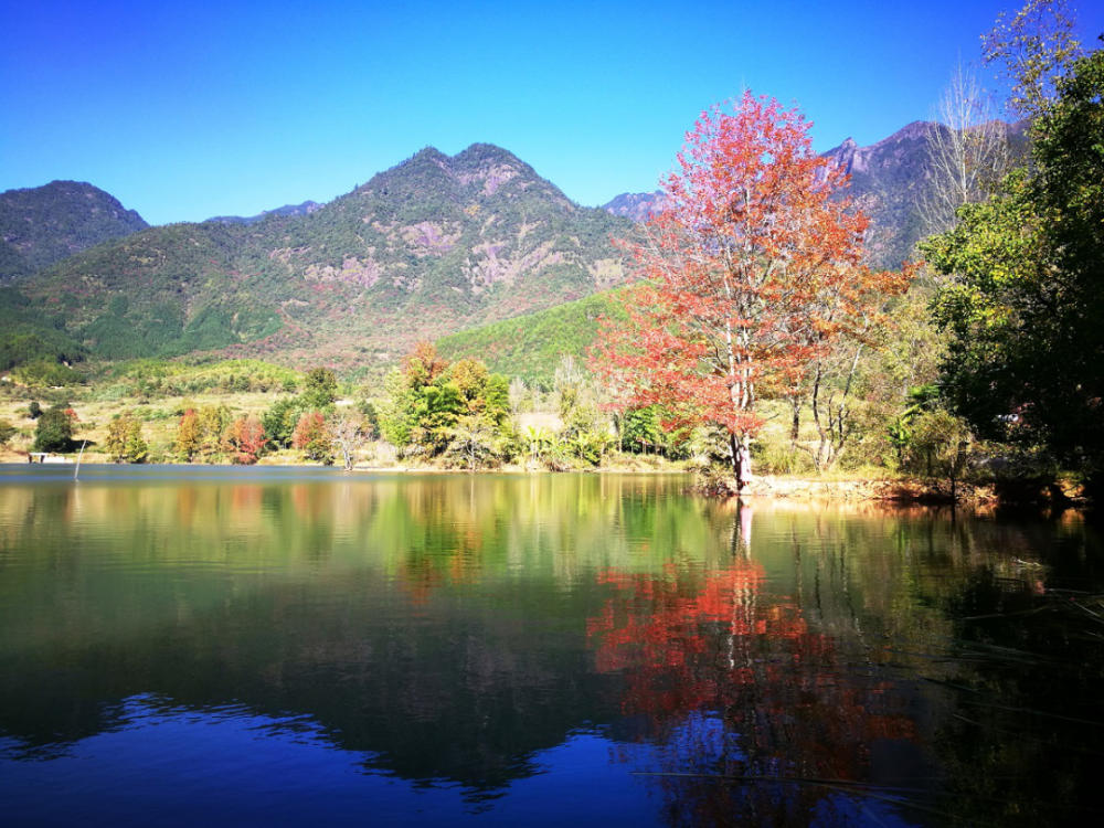饶坪村位于光泽县城乡结合部,系鸾凤乡所属建制村,省级风景名胜区乌