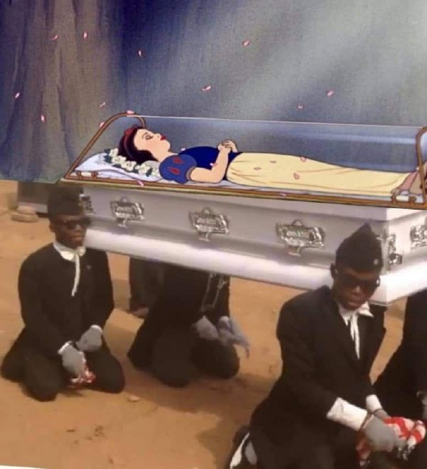 黑人抬棺这就叫专业