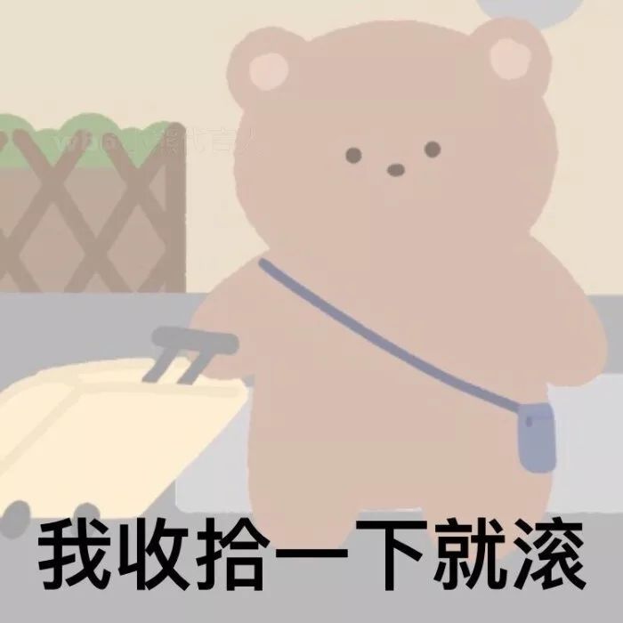 表情包超可爱小熊