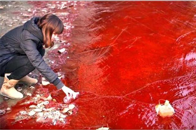 当年印度下了两个月血雨雨水全是血红色是真的血液吗