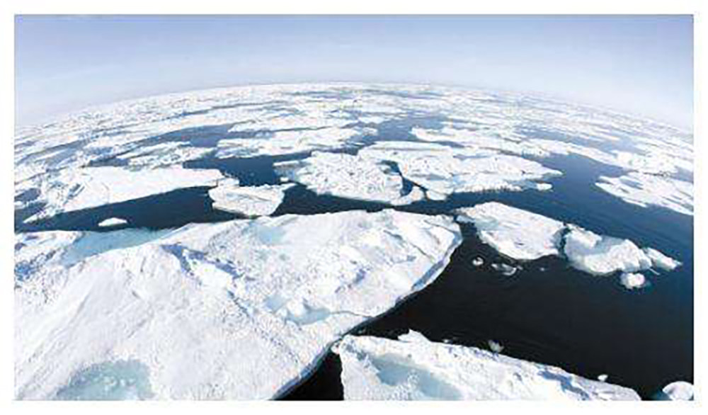 地球|2020年世界各地发出“预警”，而中国的“帽子”越来越绿了