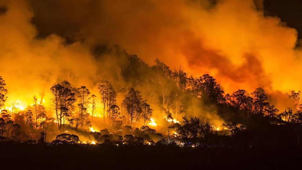 地球|2020年世界各地发出“预警”，而中国的“帽子”越来越绿了