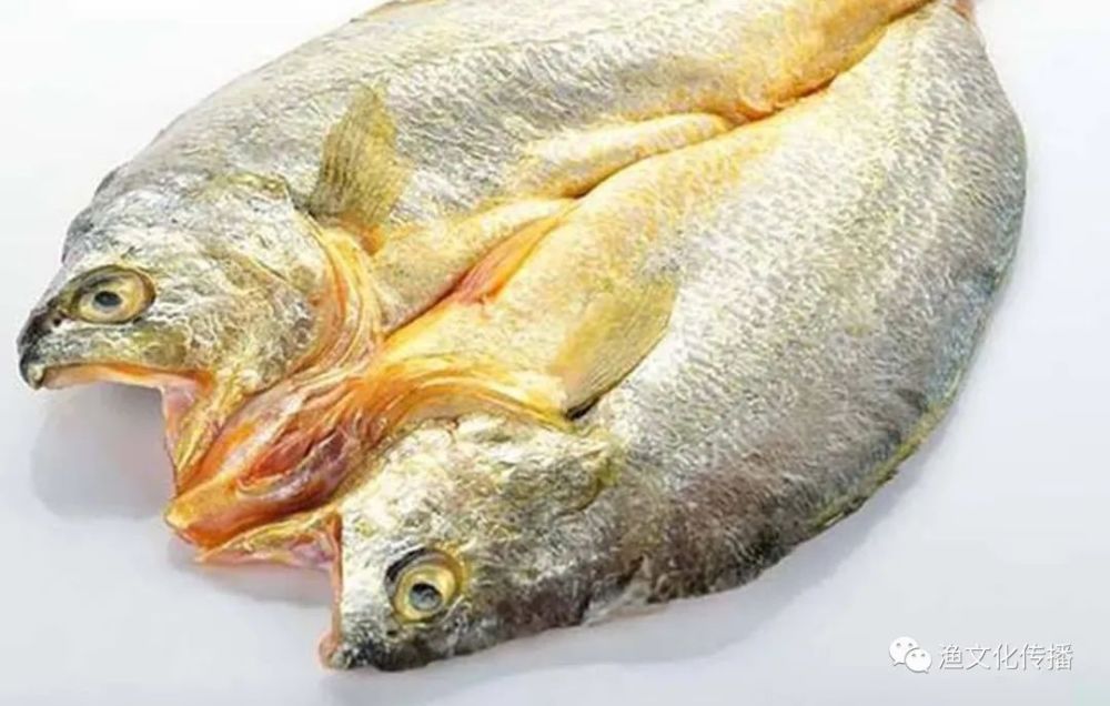 "鱼鲞"的来历