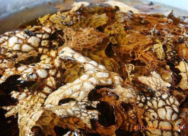 青蛙皮你们吃过吗它可是是难得的美味