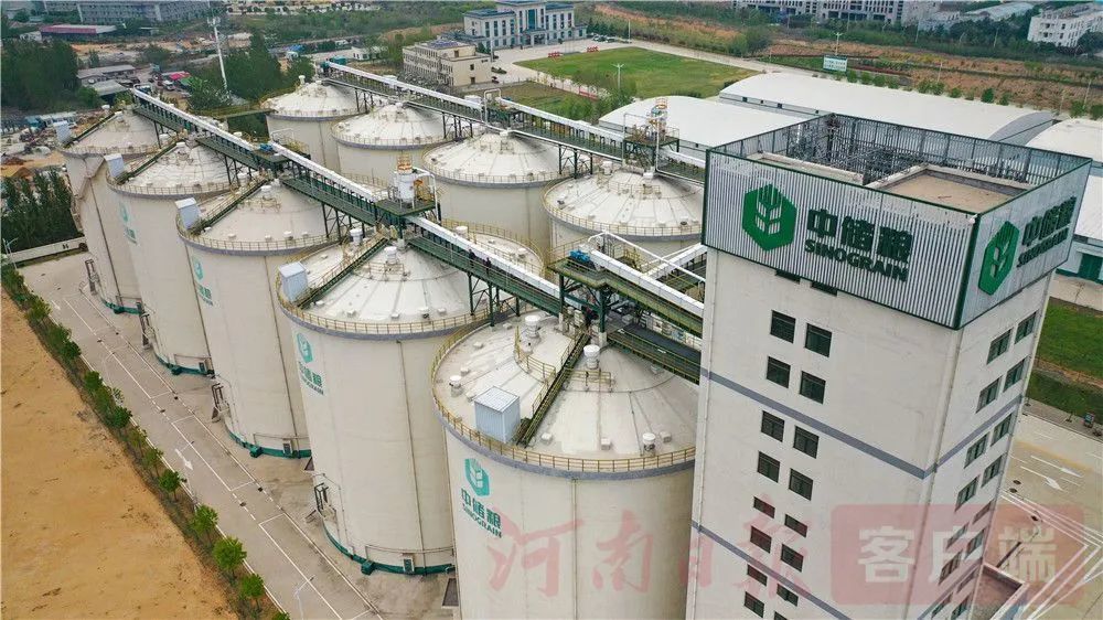 俯瞰中储粮新港库新型储粮设备33米高的浅圆仓(4月10日摄).
