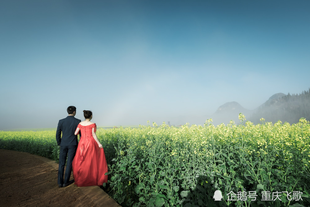 婚纱mv_没想到!刚开始做企鹅号,一周前发布的唯美婚纱MV一夜突然猛涨8万...