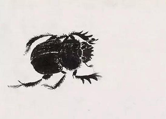 齐白石不仅画虾厉害画个蜘蛛都卖120万放大8倍看真服了