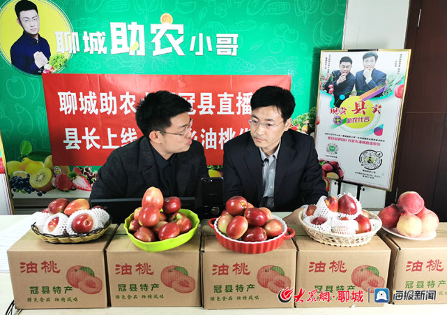 聊城冠县副县长直播卖油桃网友直呼这个县长有点帅