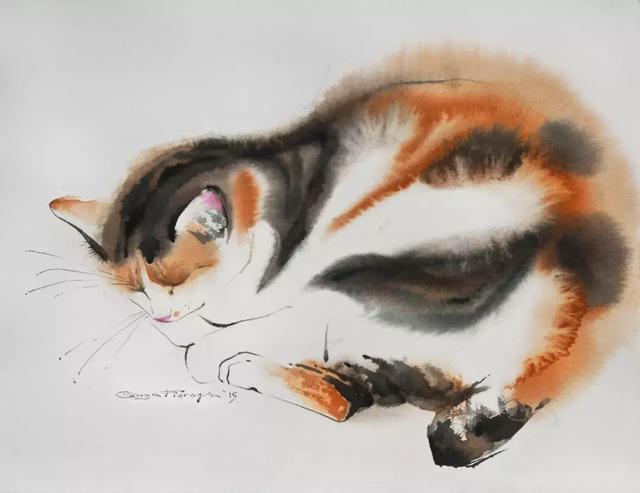 水色的动物 神采奕奕的公鸡 懒洋洋的猫咪 憨态的狗狗