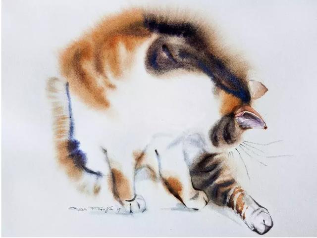 水色的动物 神采奕奕的公鸡 懒洋洋的猫咪 憨态的狗狗