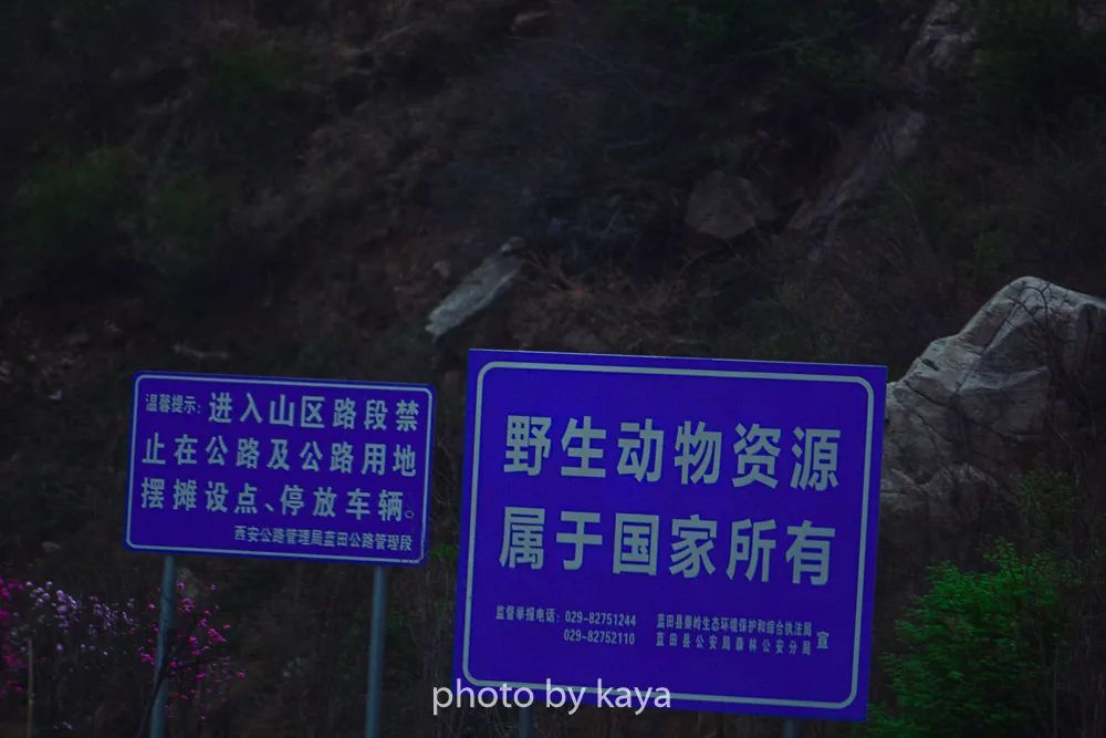 路边看到野生动物的警示语,想象不知道会和什么动物偶遇,还有点小兴奋