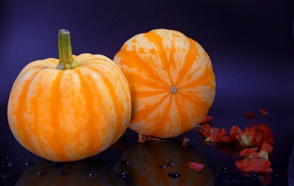 通体黄色,凹陷处呈橘色的是菊瓜,这种迷你南瓜即可食用又有观赏性的