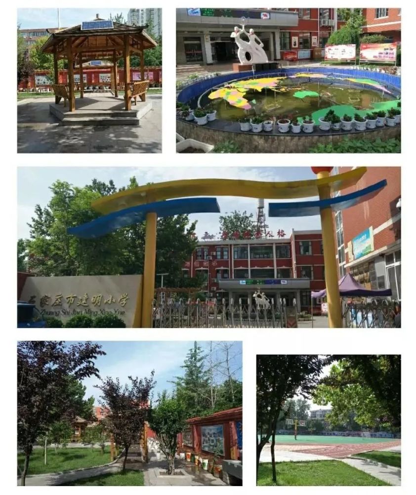 小学百科长安区石家庄市建明小学解析_腾讯新闻