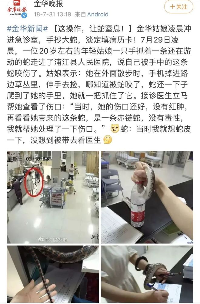 被五步蛇咬了走几步才最安全