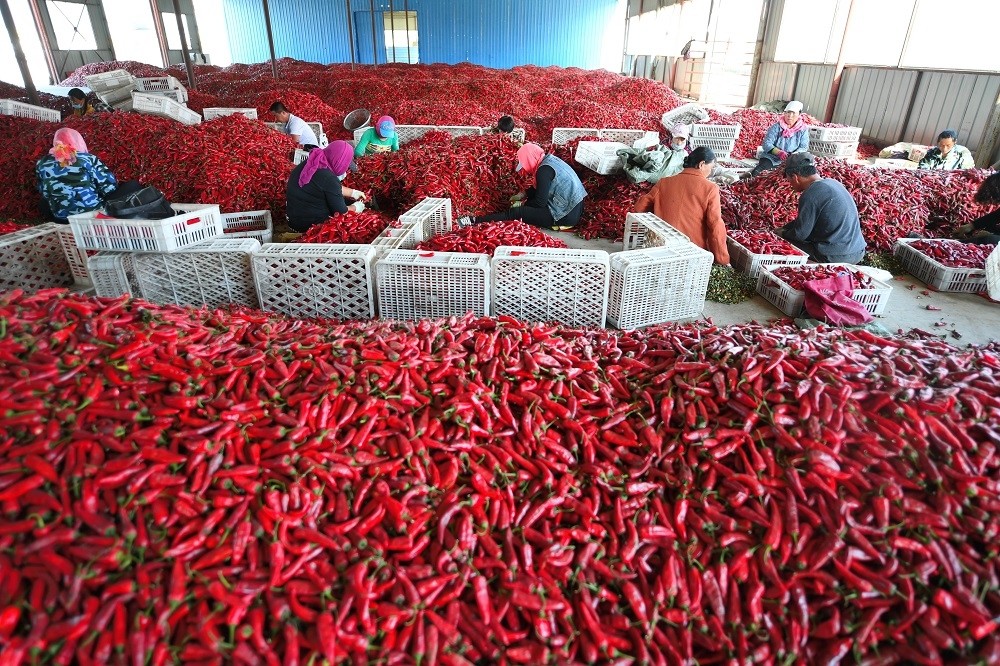 吉林省最穷的县排名_吉林省2019年度贫困县退出公示