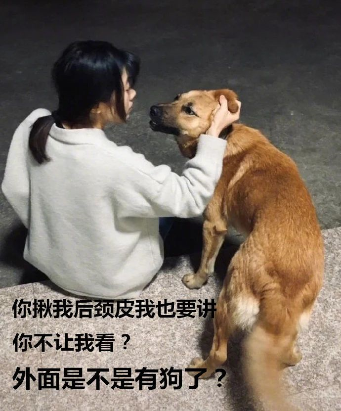 对不起,我没有在你的音乐中找到"拉屎蛋子"