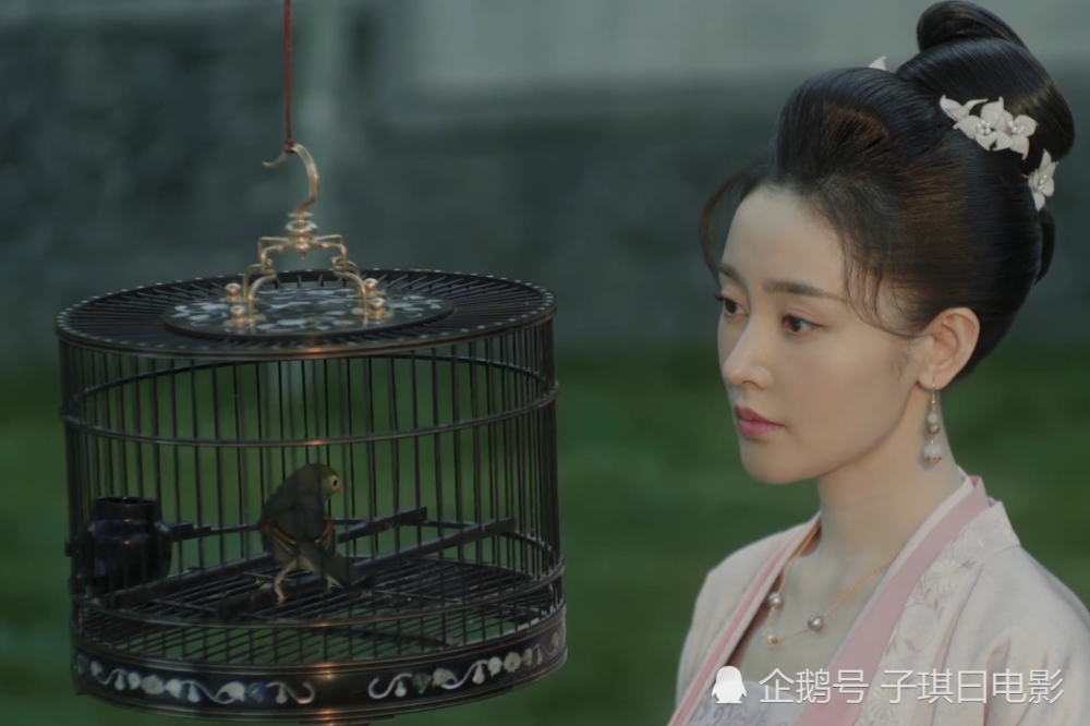 《清平乐》:王凯喜欢张天爱饰演的陈熙春,为何最终要分开