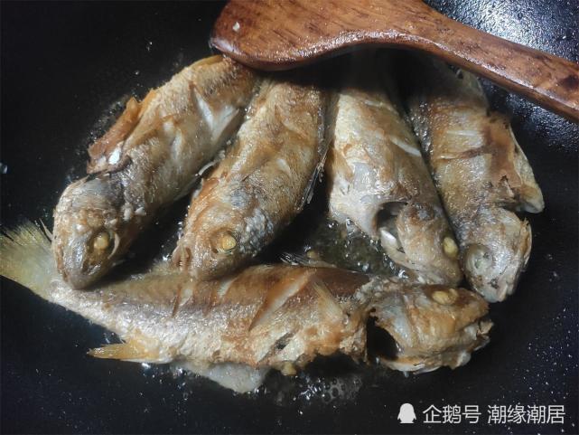 农村人这种鱼吃到腻,是潮汕经济型食用鱼,油煎味道意想不到