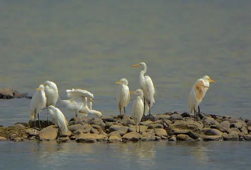 下溪村来了一群 小可爱 腾讯新闻