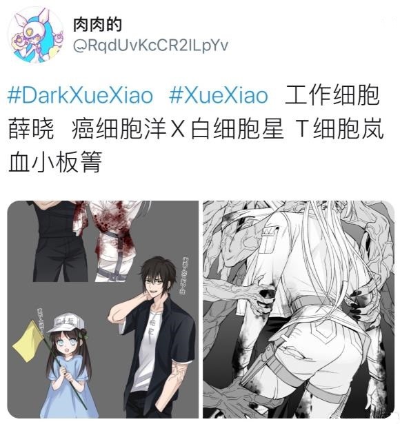 工作细胞版的义城组癌细胞洋vs白细胞星设定带感