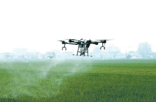 厉害了上蔡黄埠居然用飞机打农药