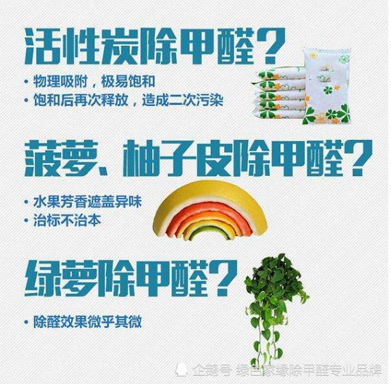 大連新房裝修後如何除甲醛?植物除醛效果怎麼樣?