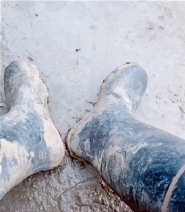 310万兰博基尼现工地,车主富二代,穿一双水泥鞋,只为体验生活