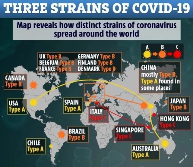 c型病毒是主要的欧洲类型,在来自法国,意大利,瑞典和英国的早期患者中