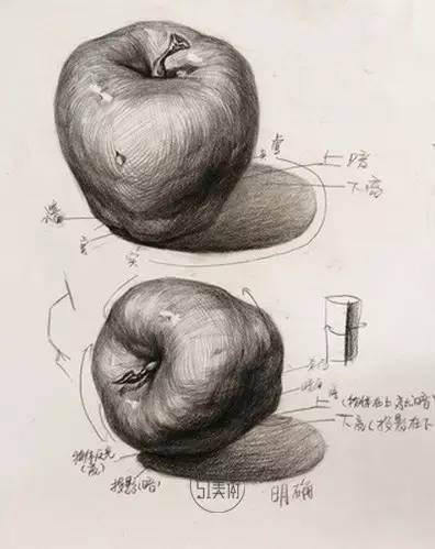 素描靜物單個物體單個分析,值得收藏學習