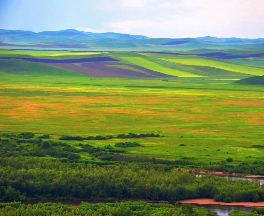 热烈祝贺兰州思泊湖牛肉面成功入驻内蒙古自治区!