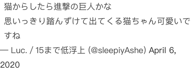 你看把猫吓得 日本一爸爸深夜喝醉 竟然把脸塞进猫窝里