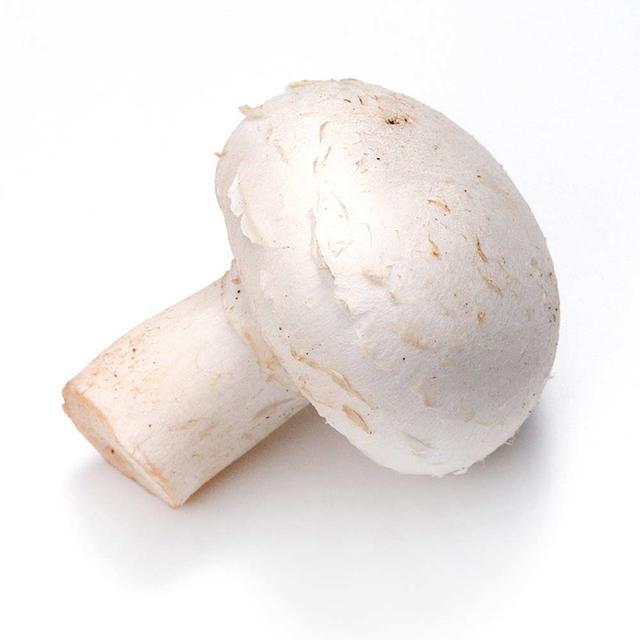 洋菇:第一种被投入大量生产的菇类,营养补给品是它?