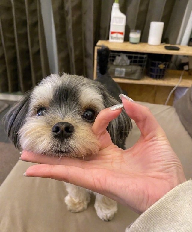 网易云热评:男票做梦一直叫我名字,醒来后问他怎么