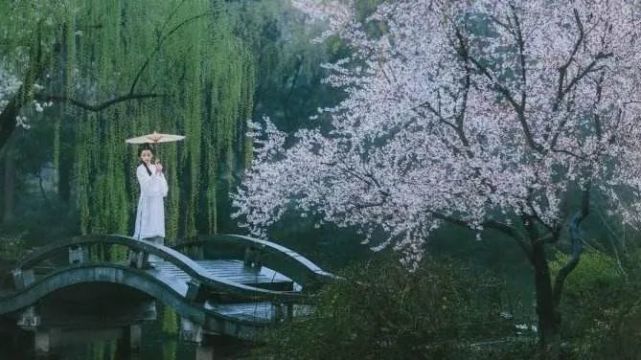 ▼杏花疏影里,吹笛到天明 xinghua]杏 花而"杏花烟雨江南"也成为了
