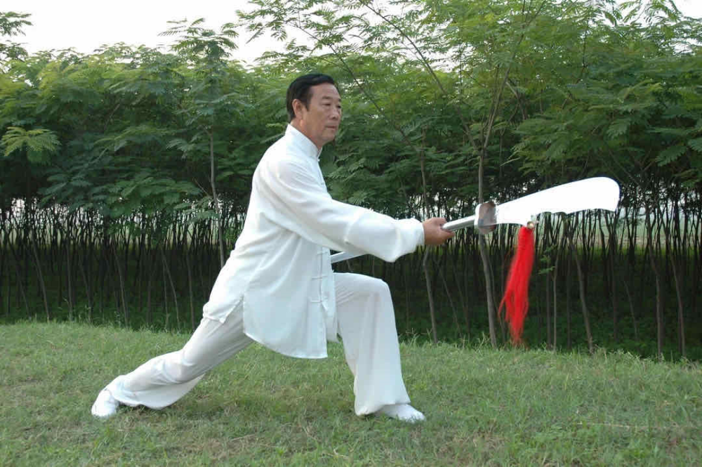 堪称珍藏版!"太极金刚"一出手,一招一式尽显宗师范