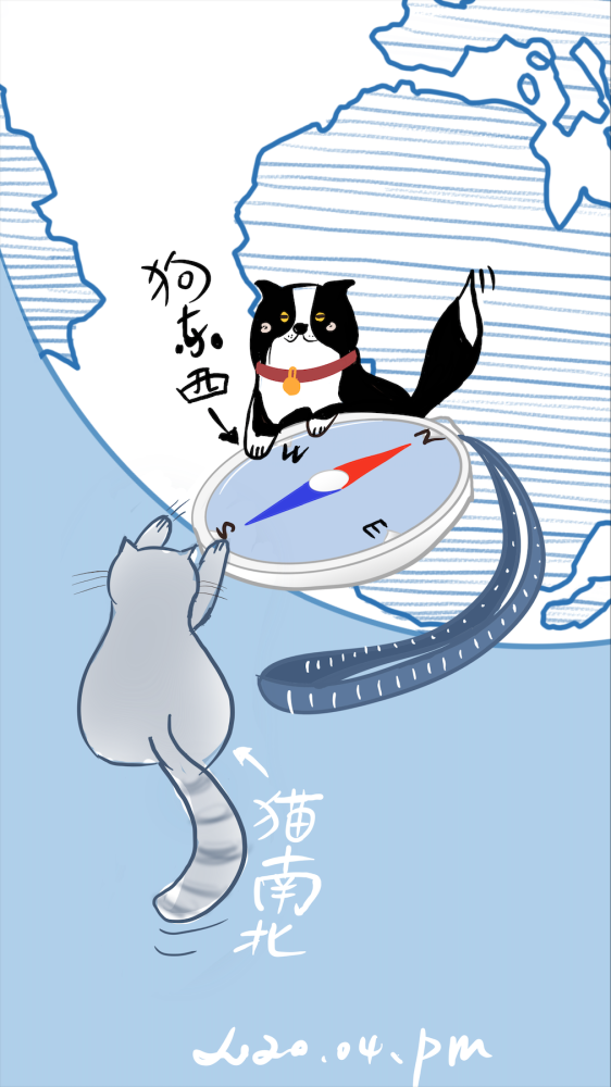 当"狗东西"遇上了"猫南北"