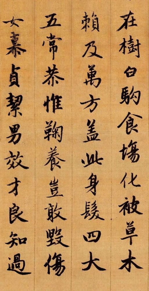 千字文|赵孟頫行书《千字文》高清大图欣赏！