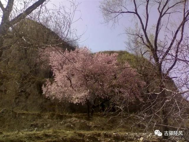 太行八陉游记 春到井陉 腾讯新闻