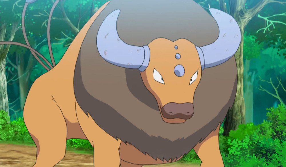 本集小智遇到的对手拥有一只强大的肯泰罗,小智选择了皮卡丘应战,在