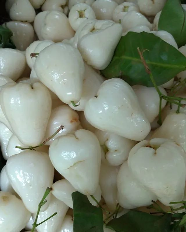 又称白壳仔莲雾,新市仔莲雾,翡翠莲雾,乳白色或清白色,果形小,长倒