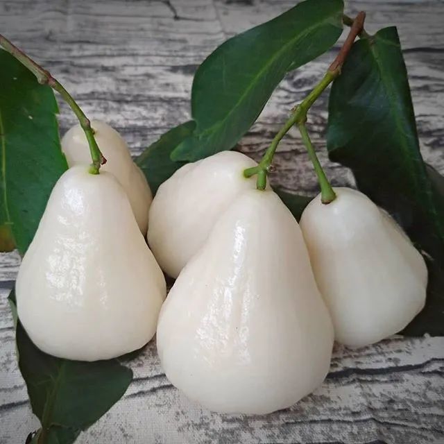 又称白壳仔莲雾,新市仔莲雾,翡翠莲雾,乳白色或清白色,果形小,长倒