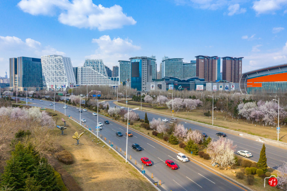 沈阳青年南大街 不可错过的花季风景 腾讯新闻