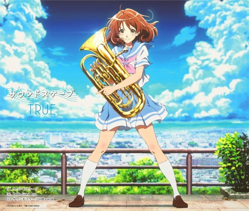 吹响吧!上低音号:在人生的旅途中,我们的下一曲终将开始