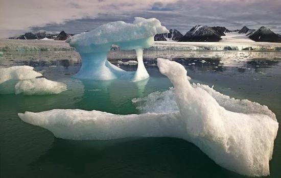 2020年地球发生了什么?