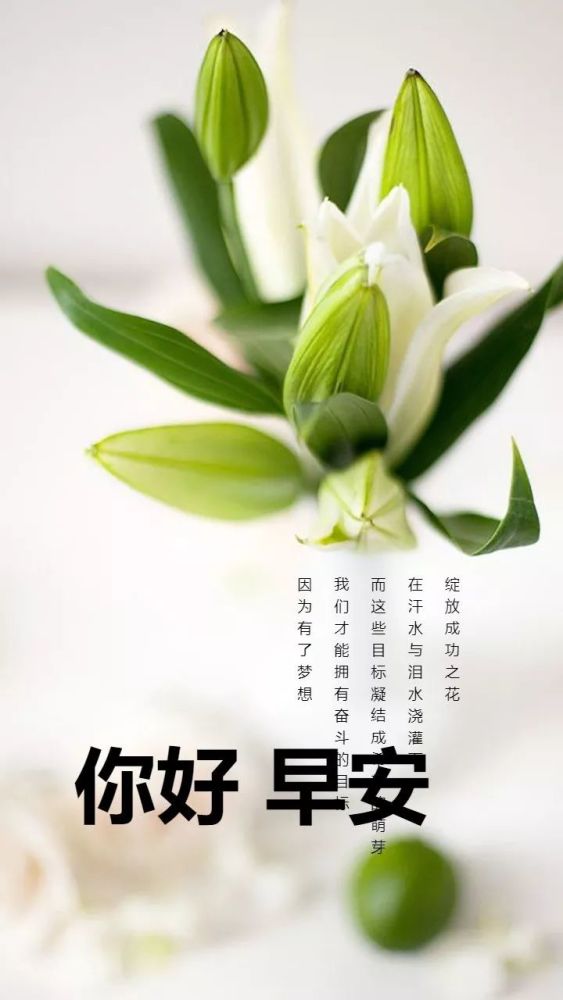 早安问候语图片句子简短一句话早安心语励志正能量语录微信早上好励志